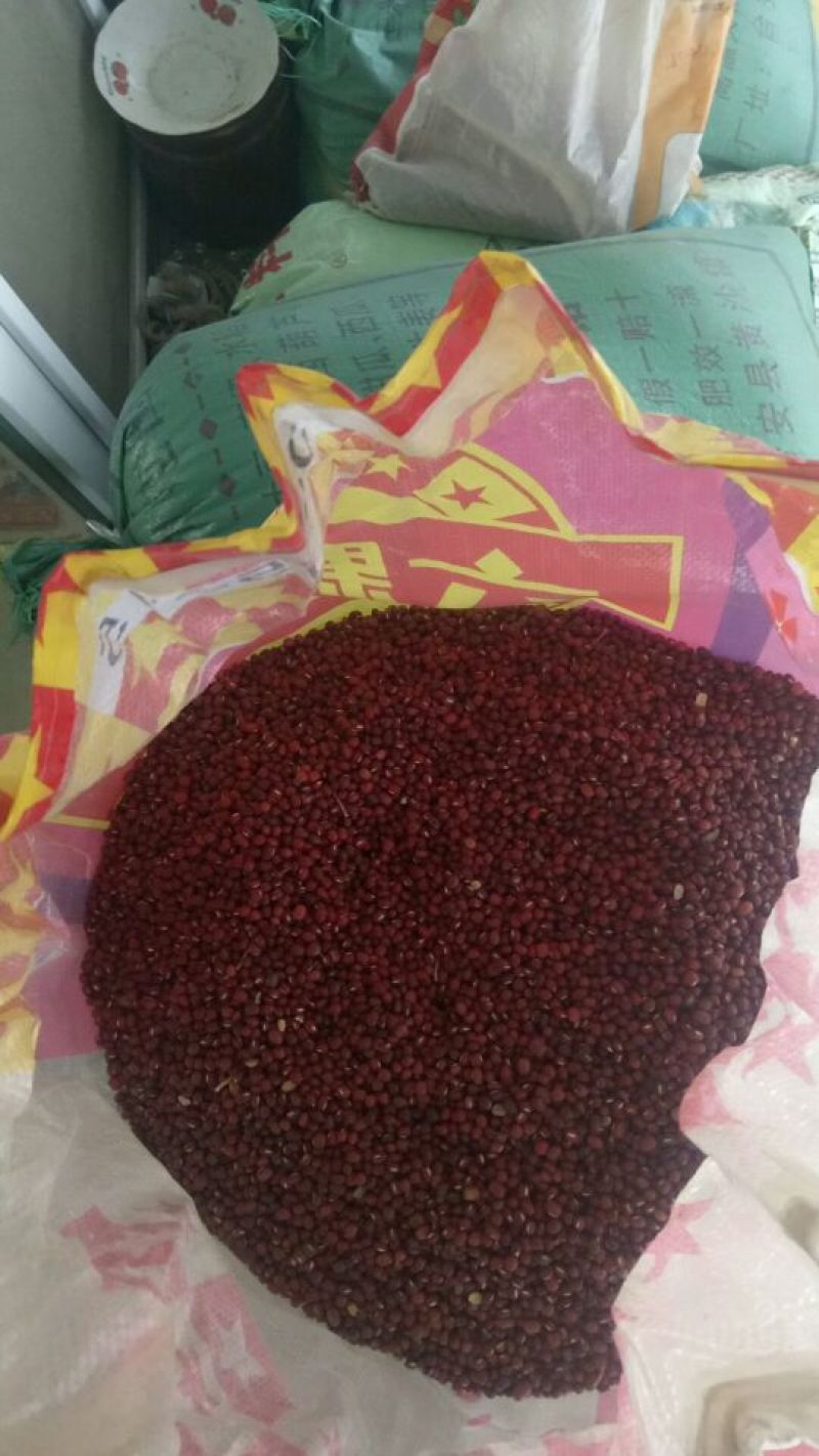 赤花小豆散装
