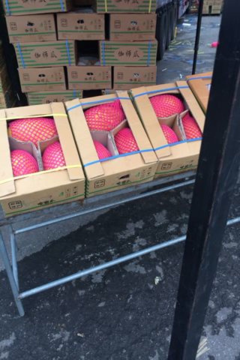西州蜜瓜