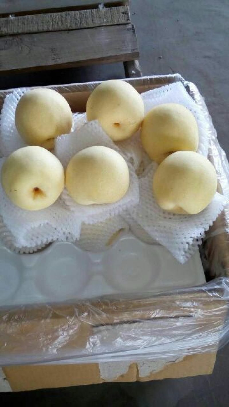 皇冠梨250~300g纸箱