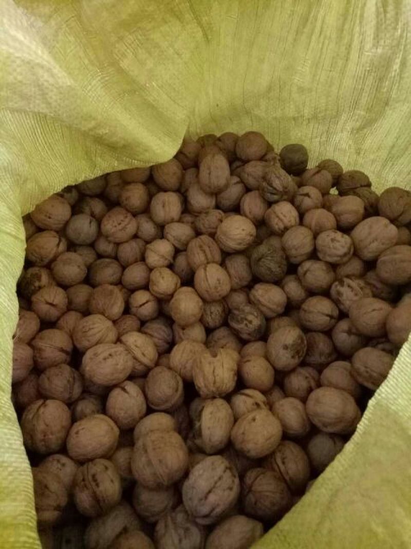 薄皮核桃30mm以上去皮