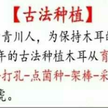 秋耳特级