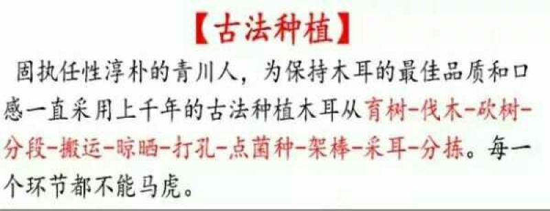 秋耳特级