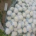 白花菜花1斤紧密乳白