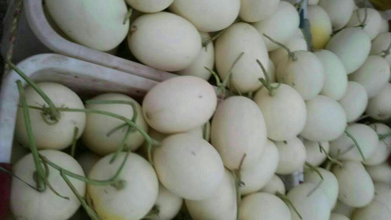 瑞红甜瓜3斤统货