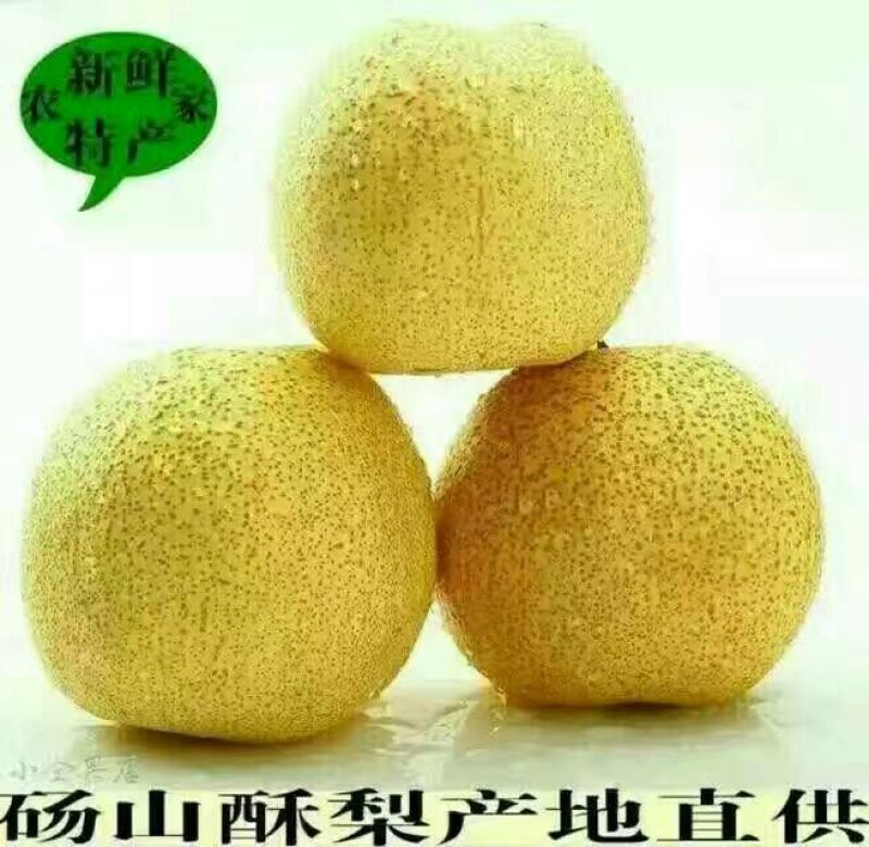 晚秋黄梨膜袋