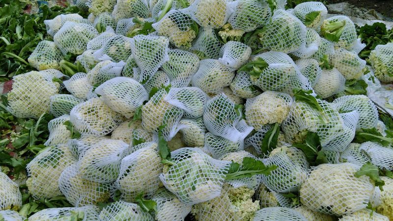 菜花1斤松散乳白