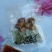豆腐干豆腐