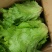 意大利生菜4两~5两