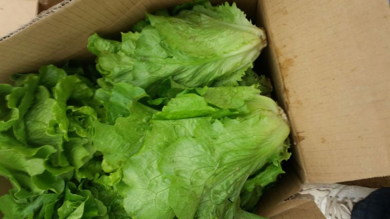 意大利生菜4两~5两