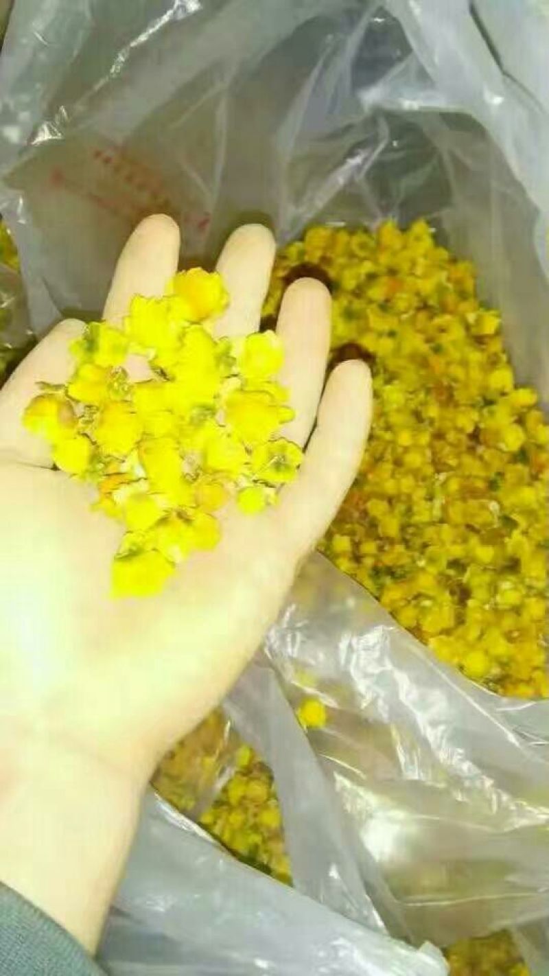 金花茶叶一级