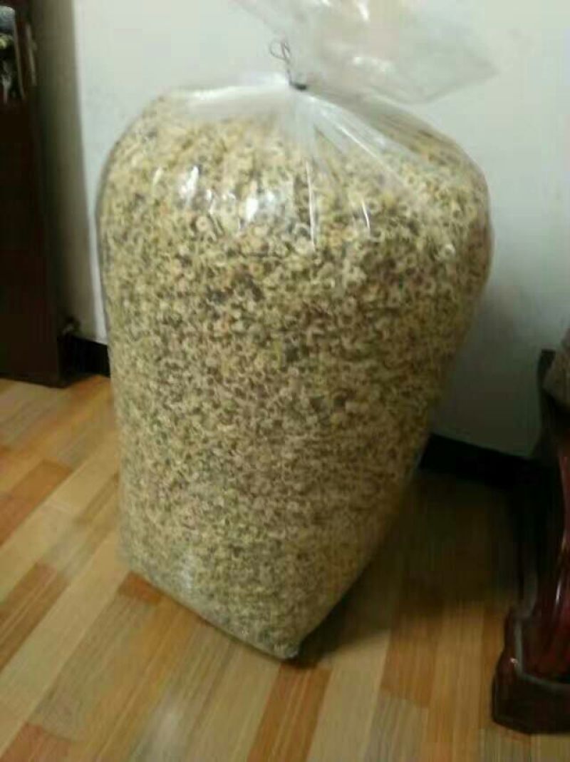 菊花茶