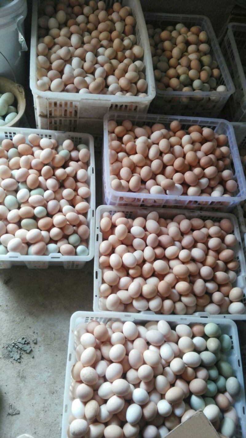 土鸡蛋食用50g以下