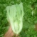 蔬菜