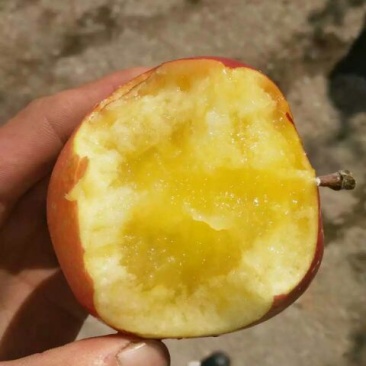 水晶富士苹果75mm以上光果