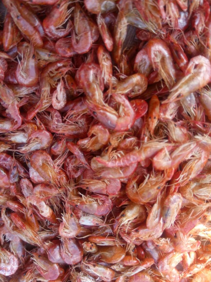 干虾