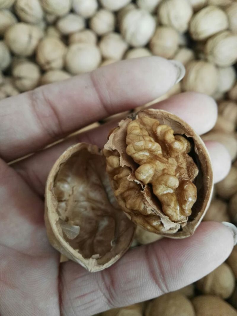 纸皮核桃去皮干