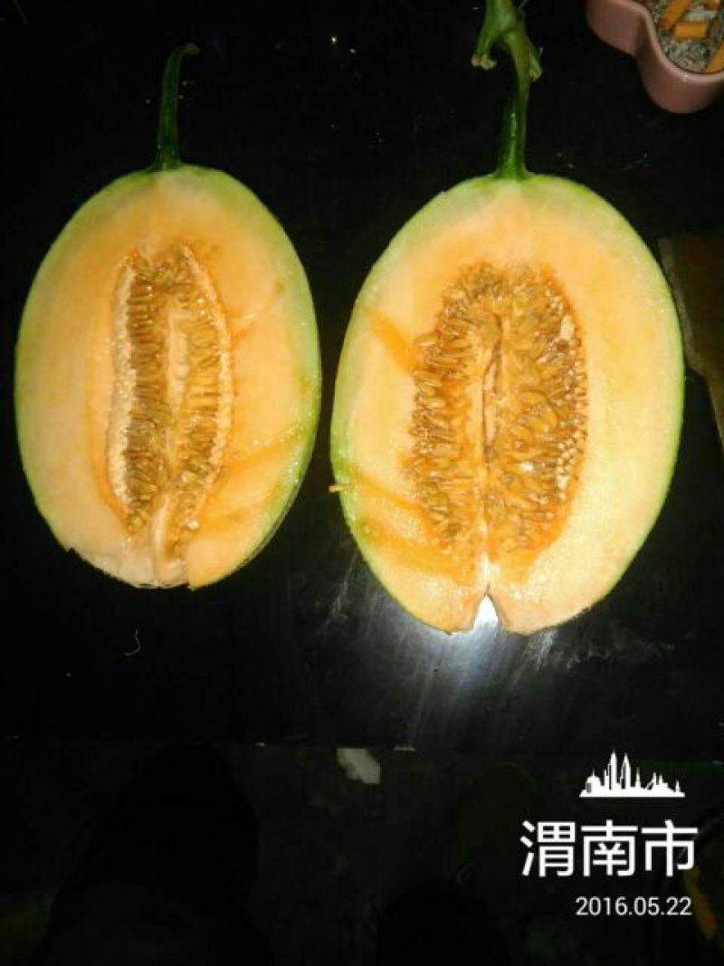 西州蜜瓜2斤以上椭圆形