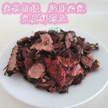 红景天