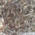 河虾活虾26~30只/kg