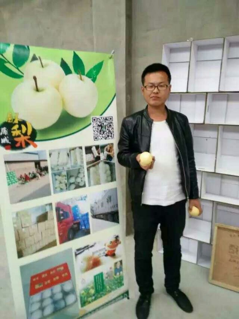酥梨250~300g纸袋