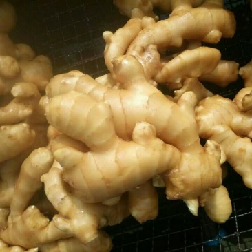 面姜2两以上带土