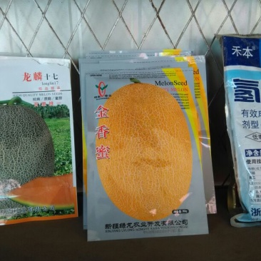 河套蜜瓜5斤以上长圆形