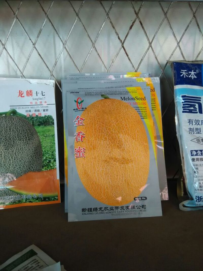 河套蜜瓜5斤以上长圆形