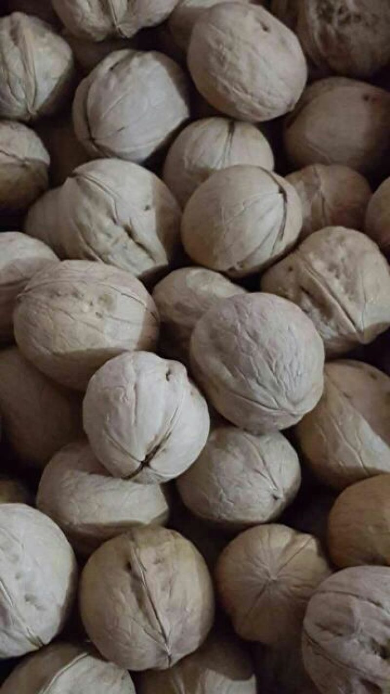 薄皮核桃去皮干