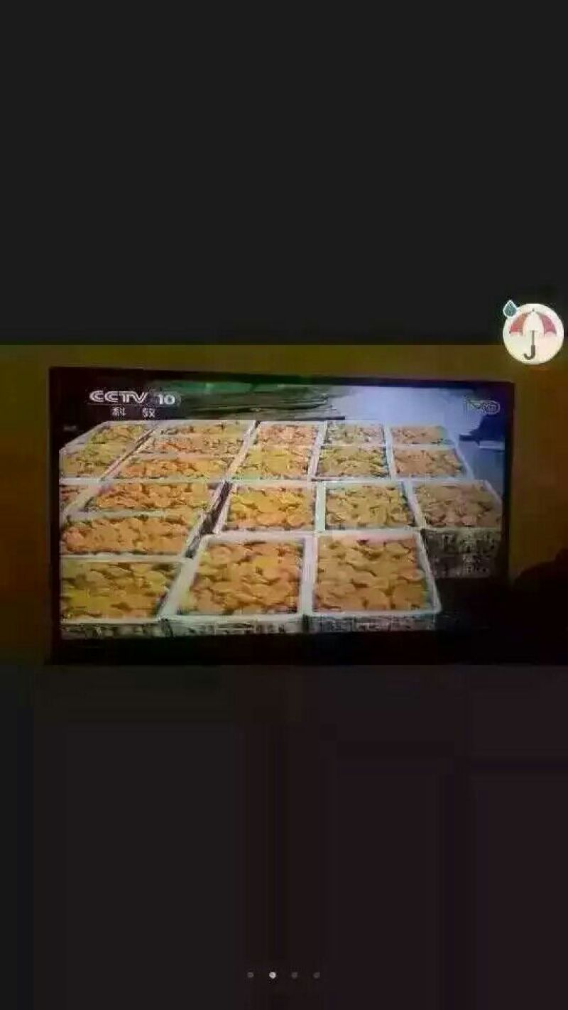 黄桃罐头