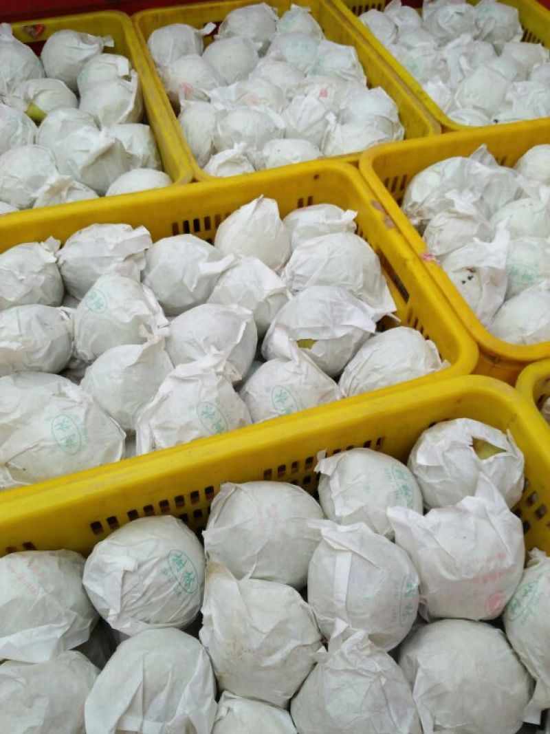 金花梨200~250g筐装