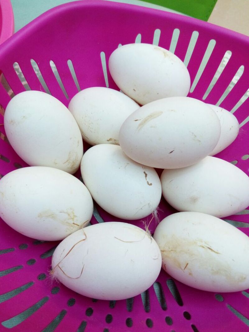 土鸡蛋食用50g以下
