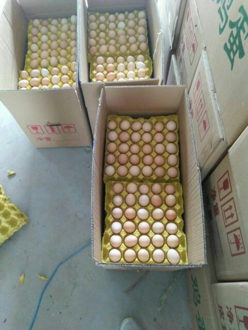 土鸡蛋食用50g以下
