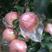 【推荐】红富士苹果75以上膜袋口感脆甜产地直发
