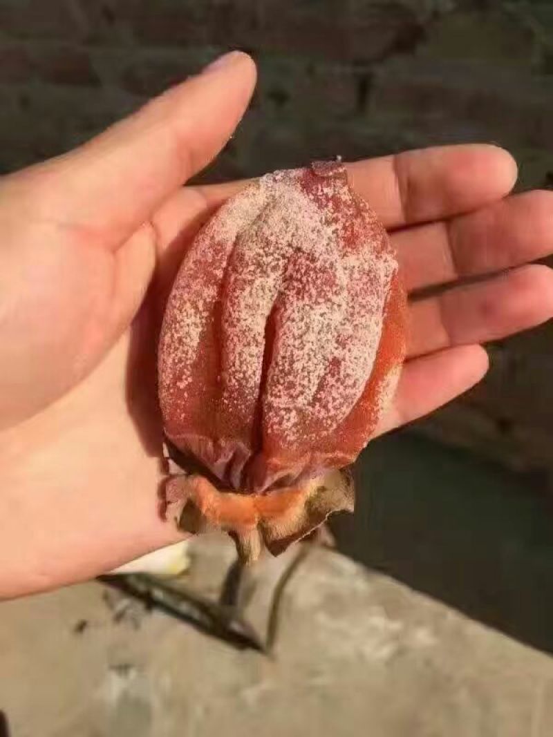柿饼2~2.5两