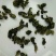 观音茶一级