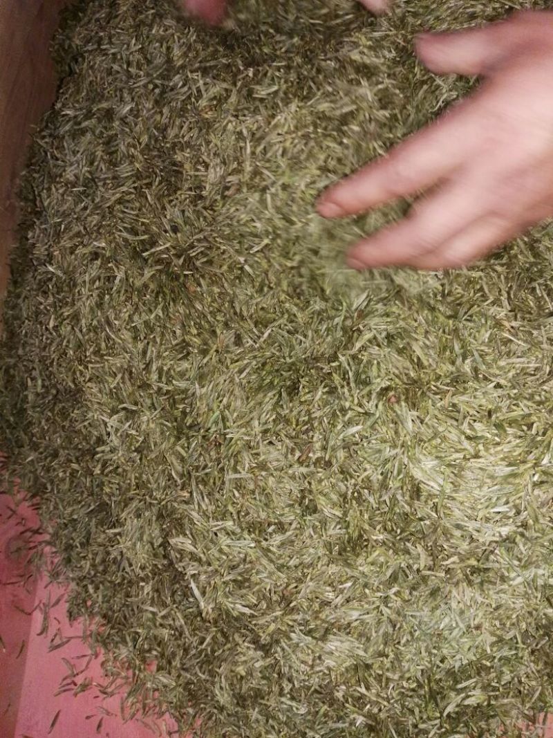 川茶二级