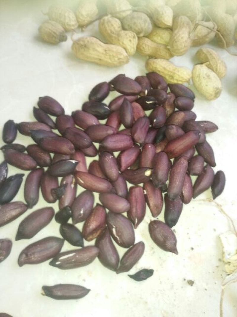 黑花生干货带壳