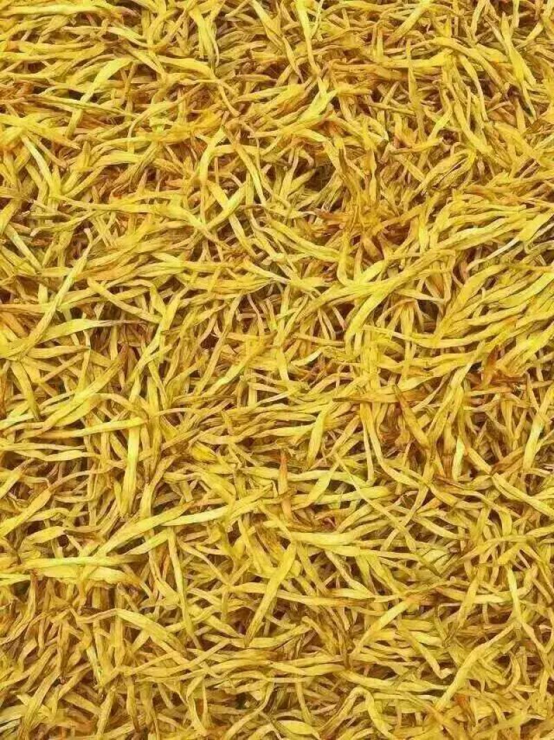黄花菜金针菜产地直供万亩菜地大量有货，干湿同收散装一级