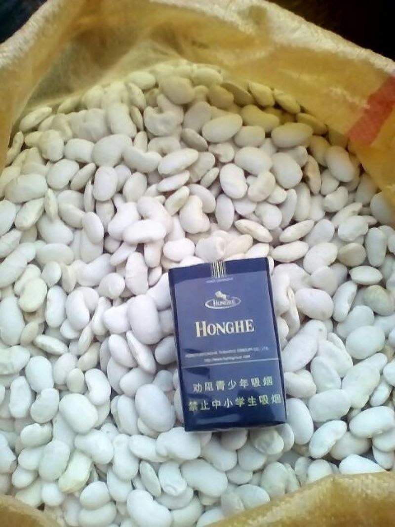西班牙白豆