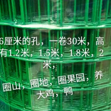 养鸡围栏网6公分