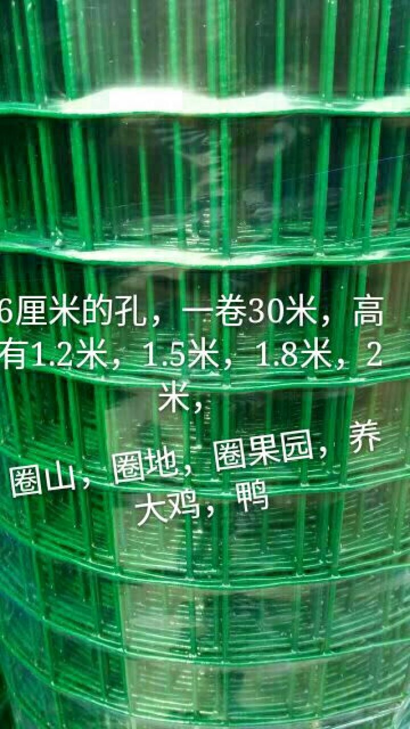 养鸡围栏网6公分