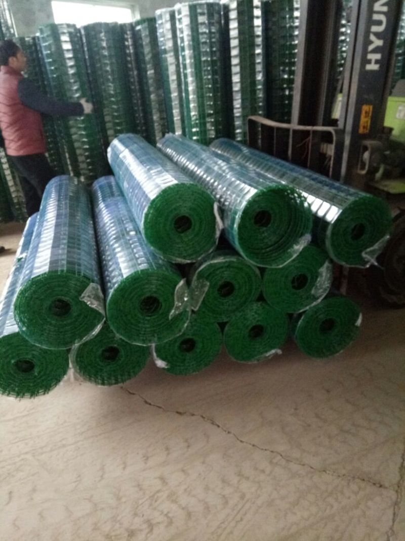 荷兰网50*50mm