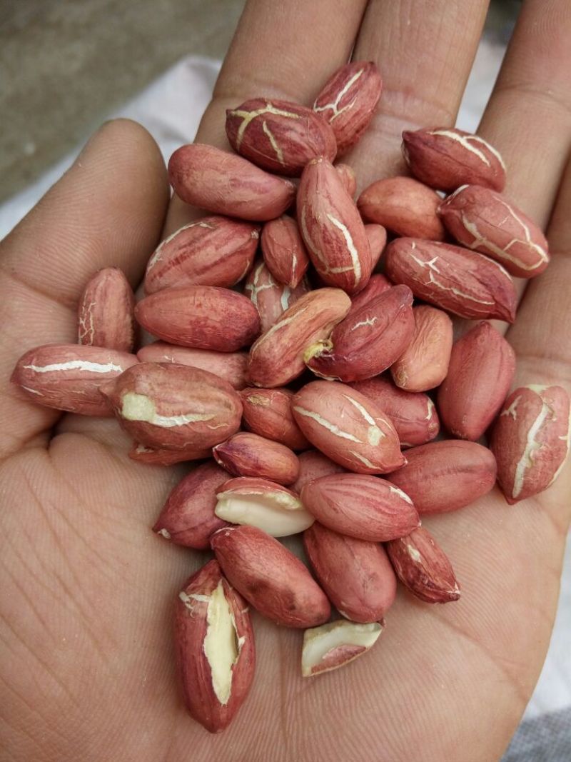 鲁花花生米