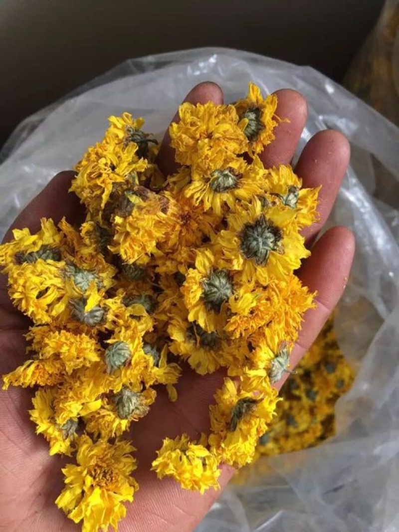 菊花茶