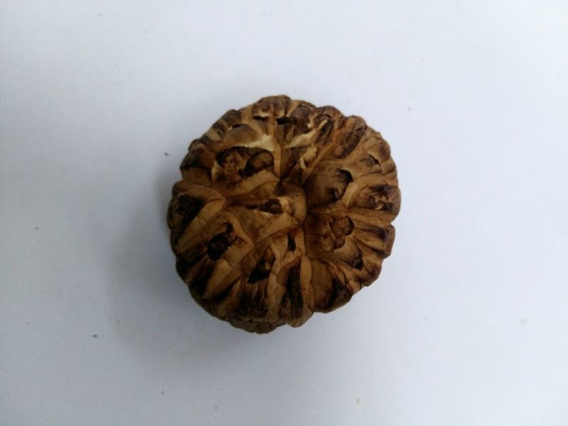 干香菇