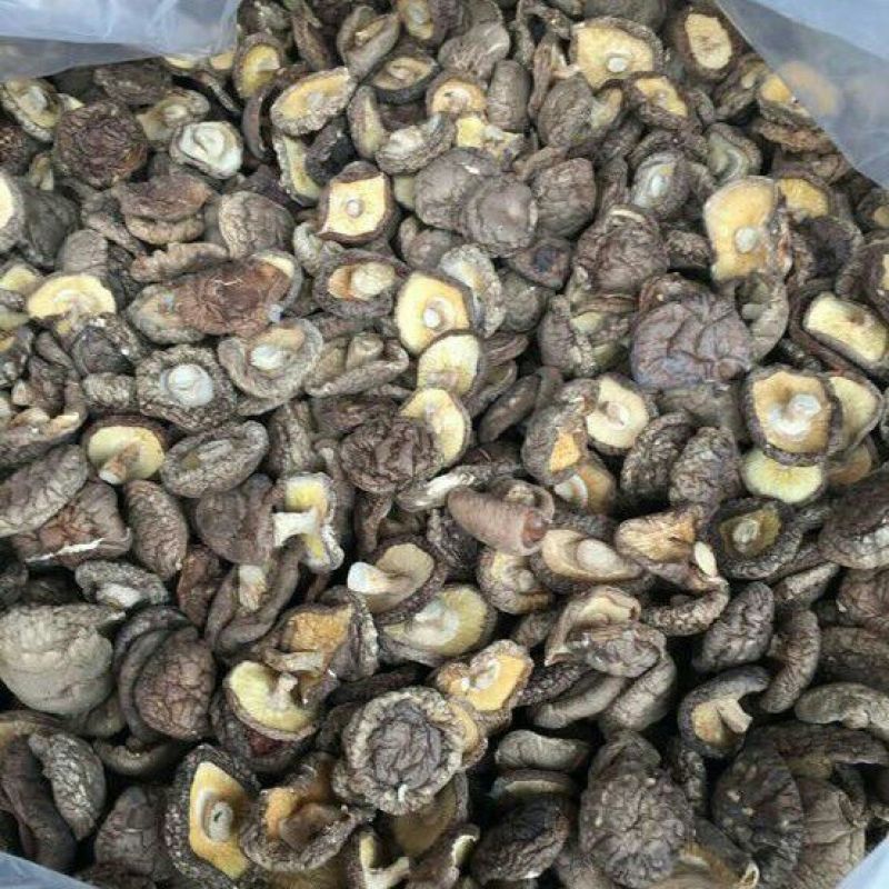 白面菇3cm以下