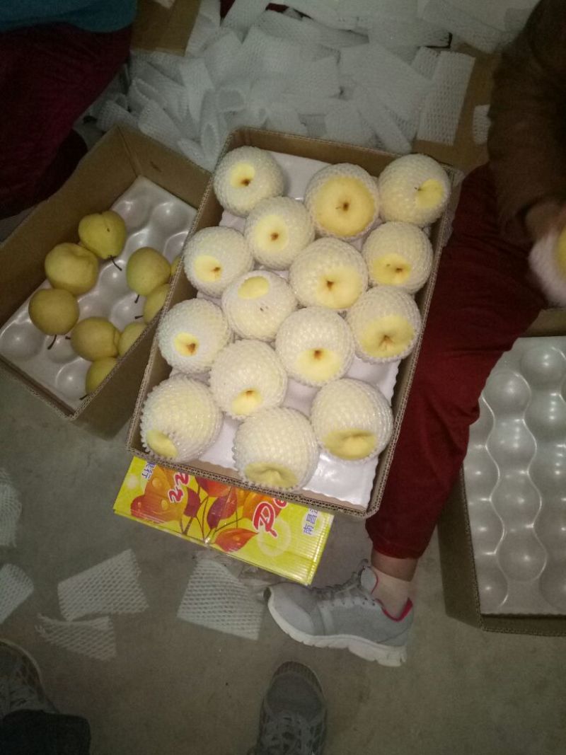 贡梨250~300g纸袋