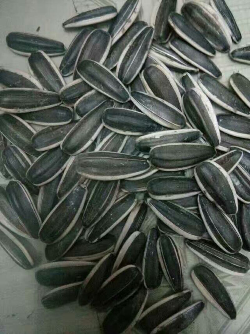 美葵601