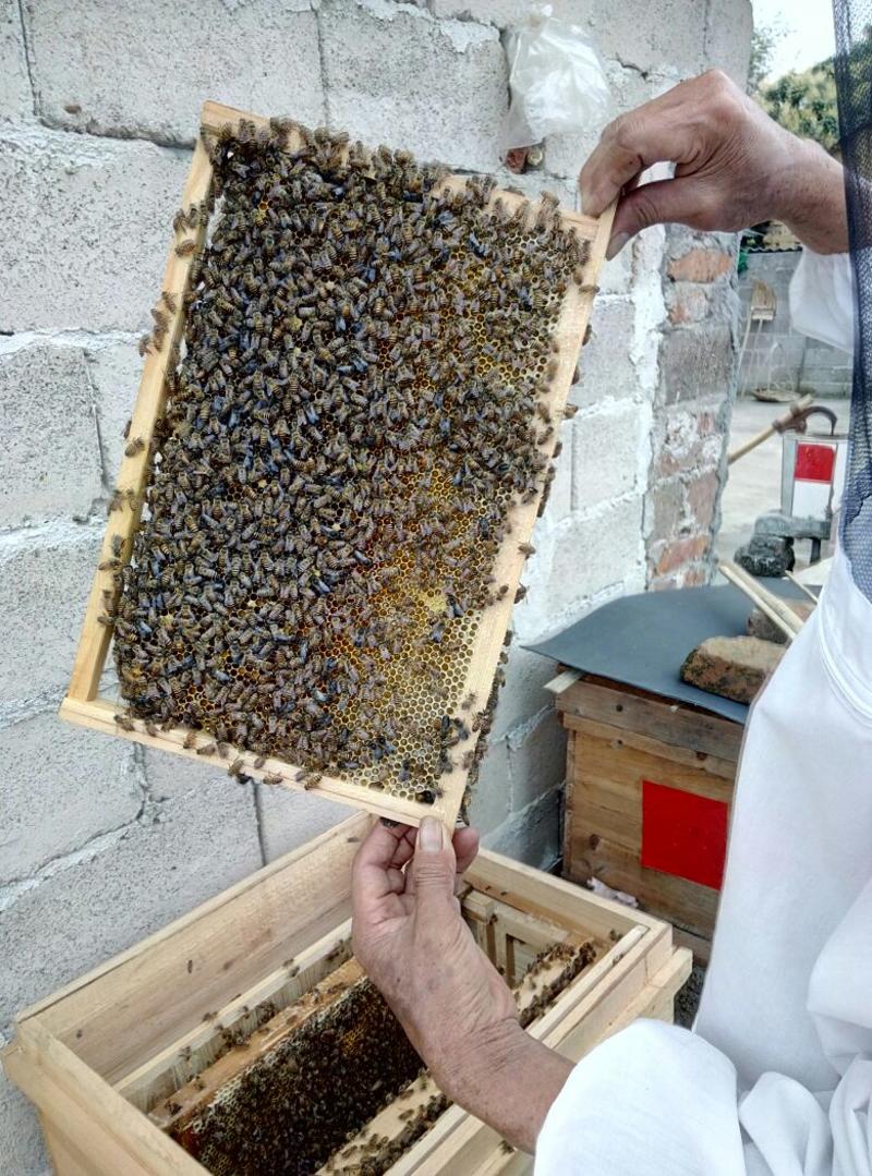 蜂蜜5斤以上
