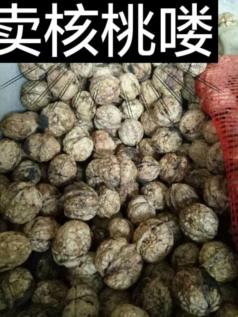 大泡核桃30mm以上去皮